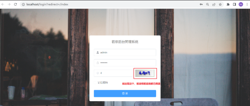 成功启动之后的访问结果