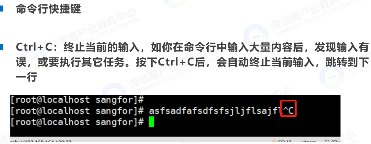命令行快捷键：Ctrl + C
