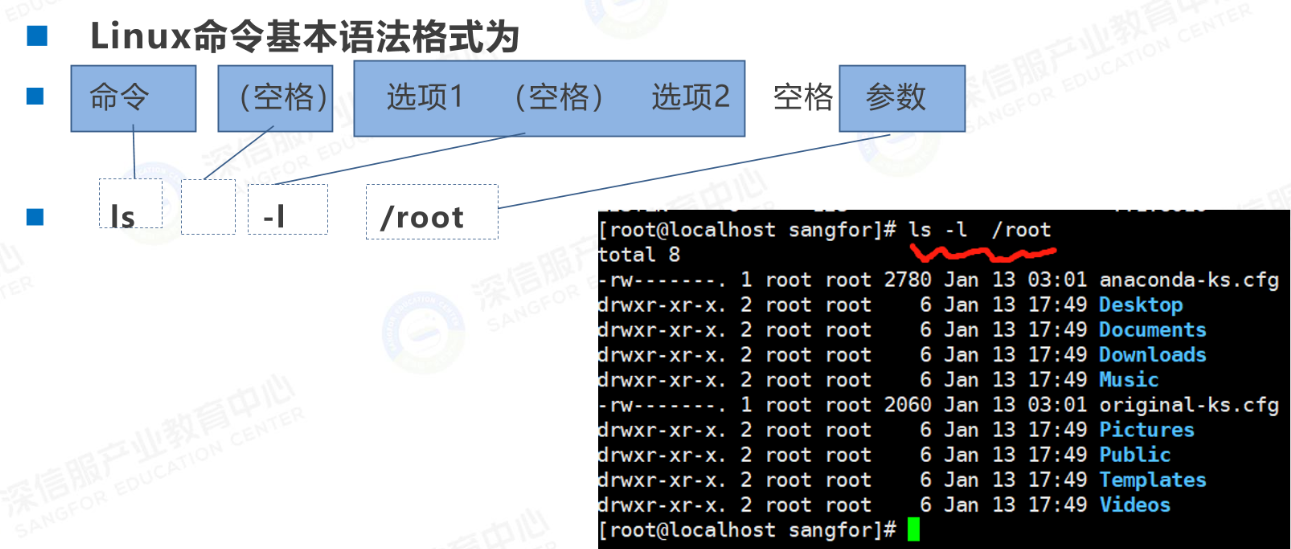 Linux命令基本语法格式